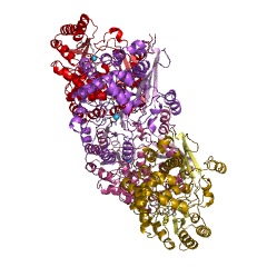 Example Structure of L-fuconate dehydratase EC#: 4.2.1.68