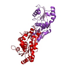 Example Structure of uroporphyrinogen-III synthase EC#: 4.2.1.75
