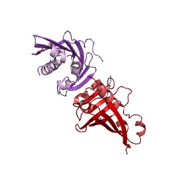 Example Structure of (S)-norcoclaurine synthase EC#: 4.2.1.78
