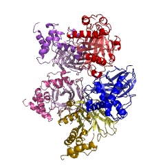 Example Structure of 2-oxopent-4-enoate hydratase EC#: 4.2.1.80