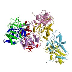 Example Structure of nitrile hydratase EC#: 4.2.1.84