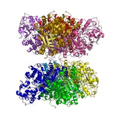 Example Structure of dihydroxy-acid dehydratase EC#: 4.2.1.9