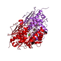 Example Structure of L-rhamnonate dehydratase EC#: 4.2.1.90