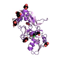 Example Structure of arogenate dehydratase EC#: 4.2.1.91