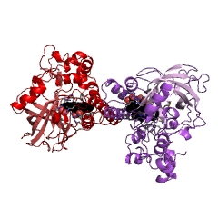 Example Structure of hydroperoxide dehydratase EC#: 4.2.1.92