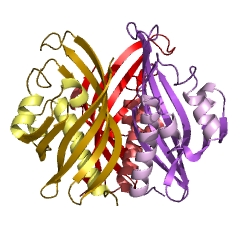 Example Structure of scytalone dehydratase EC#: 4.2.1.94