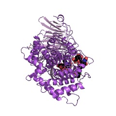 Example Structure of hyaluronate lyase EC#: 4.2.2.1