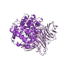 Example Structure of xanthan lyase EC#: 4.2.2.12