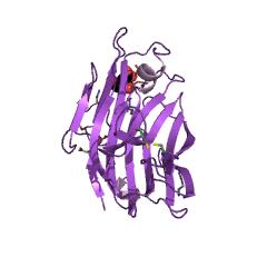 Example Structure of glucuronan lyase EC#: 4.2.2.14