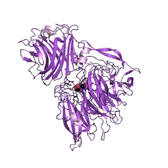 Example Structure of anhydrosialidase EC#: 4.2.2.15