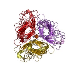 Example Structure of inulin fructotransferase (DFA-III-forming) EC#: 4.2.2.18