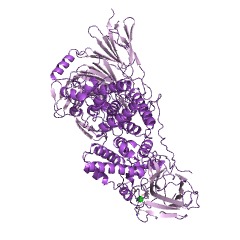 Example Structure of chondroitin-sulfate-ABC endolyase EC#: 4.2.2.20