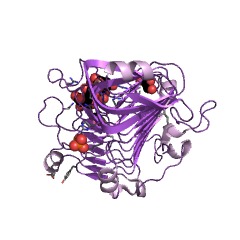 Example Structure of pectate trisaccharide-lyase EC#: 4.2.2.22