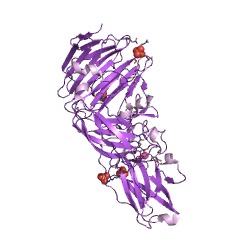 Example Structure of rhamnogalacturonan endolyase EC#: 4.2.2.23