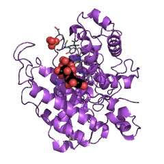 Example Structure of mannuronate-specific alginate lyase EC#: 4.2.2.3