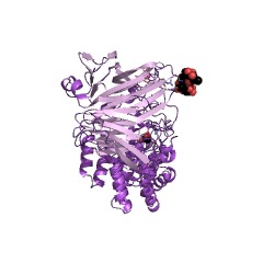 Example Structure of chondroitin AC lyase EC#: 4.2.2.5