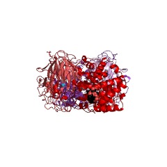 Example Structure of heparin lyase EC#: 4.2.2.7