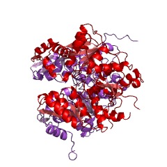 Example Structure of threonine synthase EC#: 4.2.3.1