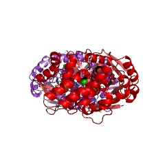 Example Structure of 2-deoxy-scyllo-inosose synthase EC#: 4.2.3.124
