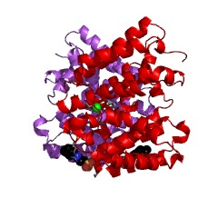 Example Structure of cyclooctat-9-en-7-ol synthase EC#: 4.2.3.146