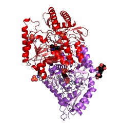 Example Structure of ethanolamine-phosphate phospho-lyase EC#: 4.2.3.2