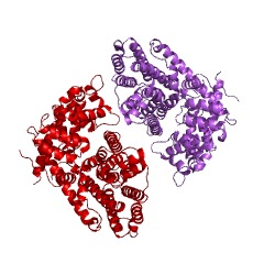 Example Structure of isoprene synthase EC#: 4.2.3.27