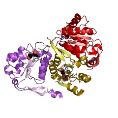 Example Structure of methylglyoxal synthase EC#: 4.2.3.3