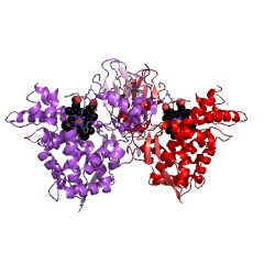 Example Structure of beta-farnesene synthase EC#: 4.2.3.47
