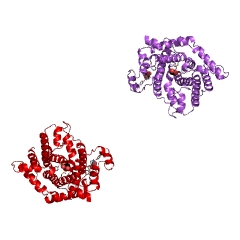 Example Structure of trichodiene synthase EC#: 4.2.3.6