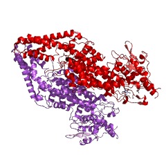 Example Structure of phenylalanine/tyrosine ammonia-lyase EC#: 4.3.1.25
