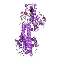 Example Structure of histidine ammonia-lyase EC#: 4.3.1.3