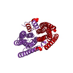 Example Structure of formimidoyltetrahydrofolate cyclodeaminase EC#: 4.3.1.4