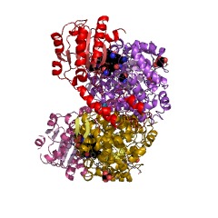 Example Structure of ethanolamine ammonia-lyase EC#: 4.3.1.7