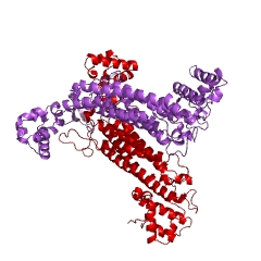 Example Structure of argininosuccinate lyase EC#: 4.3.2.1