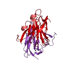 Example Structure of ureidoglycolate lyase EC#: 4.3.2.3