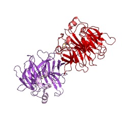 Example Structure of strictosidine synthase EC#: 4.3.3.2