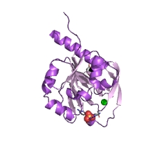 Example Structure of pyridoxal 5'-phosphate synthase (glutamine hydrolysing) EC#: 4.3.3.6