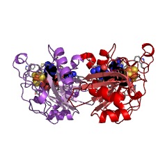 Example Structure of 7-carboxy-7-deazaguanine synthase EC#: 4.3.99.3