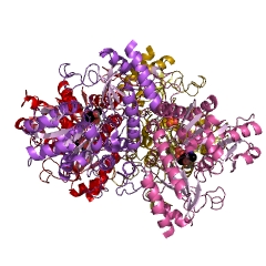 Example Structure of cystathionine gamma-lyase EC#: 4.4.1.1