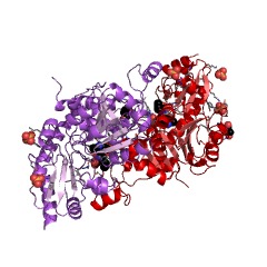 Example Structure of methionine gamma-lyase EC#: 4.4.1.11