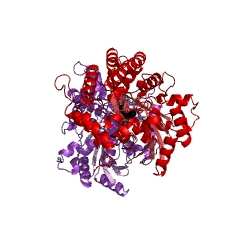 Example Structure of 1-aminocyclopropane-1-carboxylate synthase EC#: 4.4.1.14