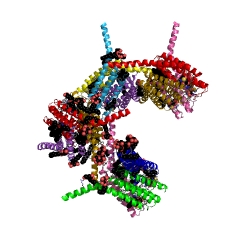 Example Structure of leukotriene-C4 synthase EC#: 4.4.1.20