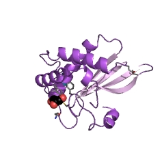 Example Structure of S-ribosylhomocysteine lyase EC#: 4.4.1.21