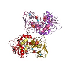 Example Structure of S-(hydroxymethyl)glutathione synthase EC#: 4.4.1.22