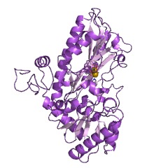 Example Structure of dimethylpropiothetin dethiomethylase EC#: 4.4.1.3