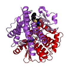 Example Structure of DDT-dehydrochlorinase EC#: 4.5.1.1