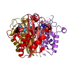 2-C-甲基-D-赤蘚糖醇2,4-環二磷酸合酶的示例結構EC＃：4.6.1.12