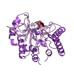 Exemple de structure de la phosphatidylinositol diacylglycérol-lyase EC #: 4.6.1.13