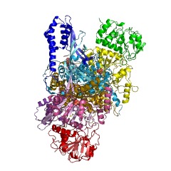 Example Structure of alpha-D-ribose 1-methylphosphonate 5-phosphate C-P-lyase EC#: 4.7.1.1