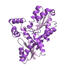 Example Structure of protoporphyrin ferrochelatase EC#: 4.99.1.1